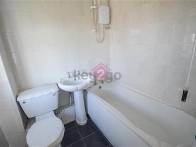 Picture 13